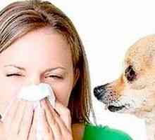 Alergie na zvířata, u dětí a dospělých