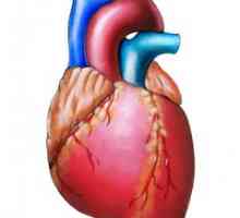 Srdeční arytmie