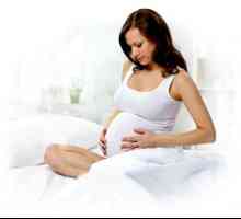 Hemoroidy v těhotenství