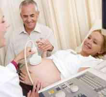 Škytavka v plodu během těhotenství
