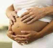 Infekce během těhotenství - jak se chovat?