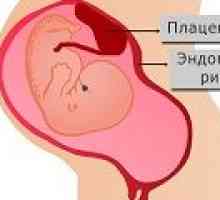 Děložní sliznice během těhotenství, míra tloušťky