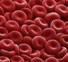 Červené krvinky v moči v průběhu těhotenství, rychlost, zvýšit