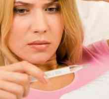 Jak lze zjistit bazální teploty ovulace