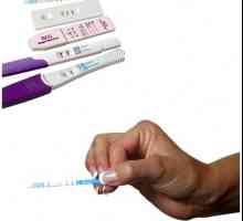 Jak použít ovulační test