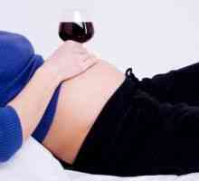 Je možné, že víno je těhotná?