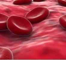 Norma hemoglobin v krvi