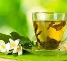 Nový výzkum: je nutné správně pít zelený čaj