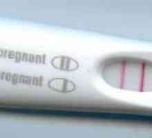 Má test mimoděložní těhotenství?