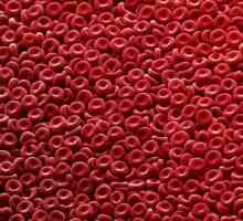 Zvýšené červených krvinek v krvi
