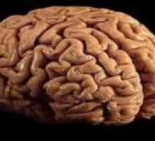 Rakoviny mozku - příčiny, diagnostiku, prognostiku
