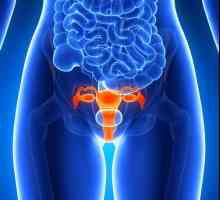 Rakovina děložního čípku: Střední délka života