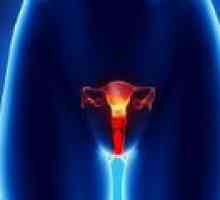 Vulvální rakoviny u žen - příčiny, diagnostika, léčba