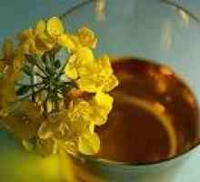 Řepkový olej: použití, přínos a újmu