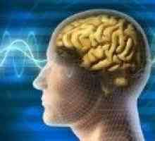 Mechanismy působení na lidský mozek Alzheimerova choroba
