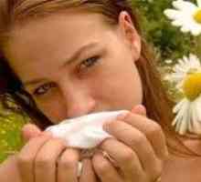 Příznaky alergické rýmy