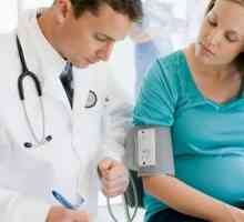 Screening v těhotenství: časování