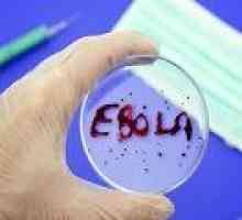 Vědci byli schopni vyvinout účinnou vakcínu proti Ebola
