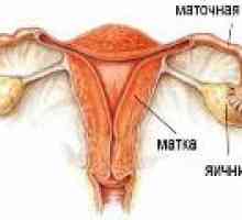 Zánět vaječníků - (oophoritis) u žen