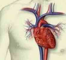 Obnova srdeční tkáně po infarktu myokardu