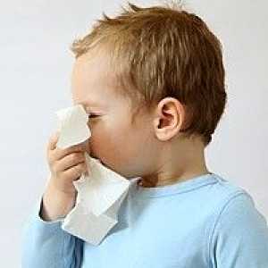Alergická rýma u dětí