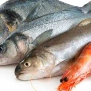 Alergie na ryby, příznaky a léčba