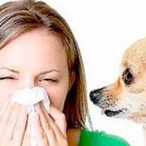 Alergie na zvířata, u dětí a dospělých