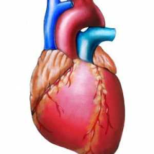 Srdeční arytmie
