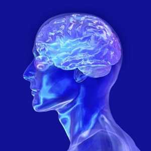 Mozková ateroskleróza: příčiny, příznaky, diagnostika, léčba