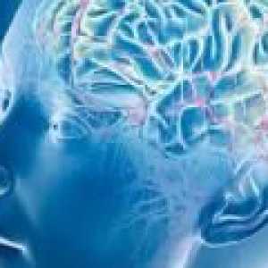 Časté migrény stát příčinou poškození mozkových buněk