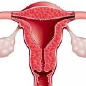 Ovariální dysfunkce - příčiny, příznaky, léčba