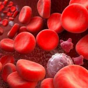 Glykosylovaný hemoglobin: jaké míry?