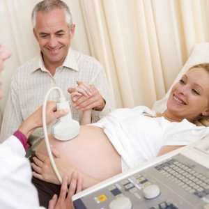 Škytavka v plodu během těhotenství