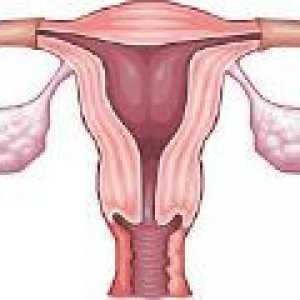 Infantilní dělohy u žen - Léčba