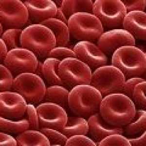 Červené krvinky v moči v průběhu těhotenství, rychlost, zvýšit
