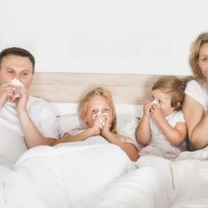 Jak snadno porazit chřipku a akutní respirační virové infekce v kterékoli fázi?