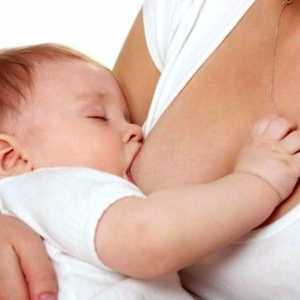 Jak dát dítě na krmení