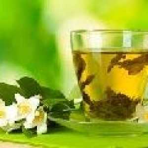 Nový výzkum: je nutné správně pít zelený čaj