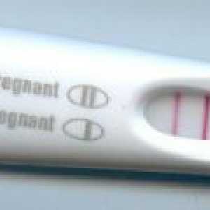 Má test mimoděložní těhotenství?