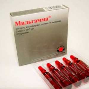Složení léku a farmakologický účinek milgamma