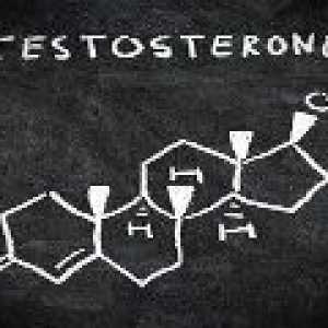 Testosteron - norma a patologie