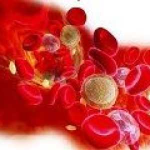Trombocytopenie: příčiny, příznaky, léčba
