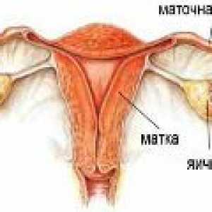 Zánět vaječníků - (oophoritis) u žen